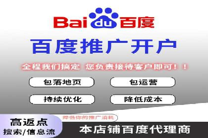 百度竞价公司案例分析：优化策略全解析